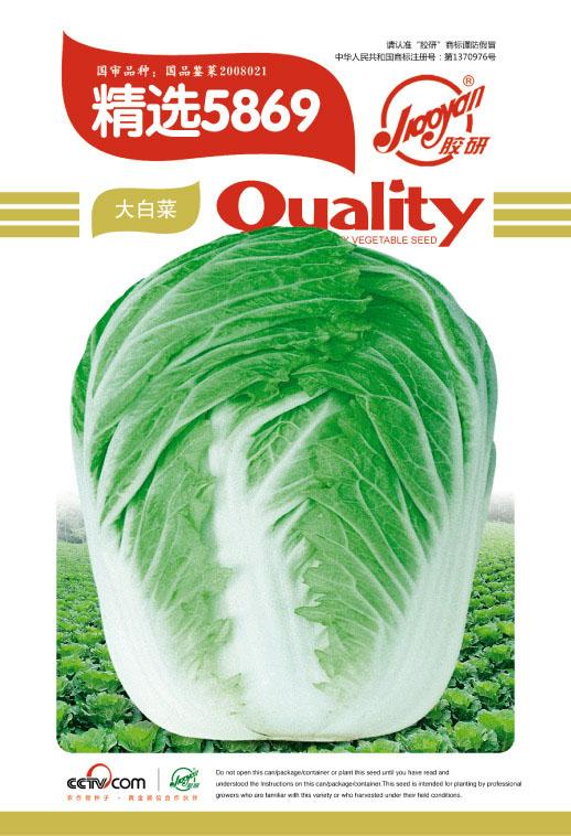Jingxuan 5869——Autumn-sowing Cabbage